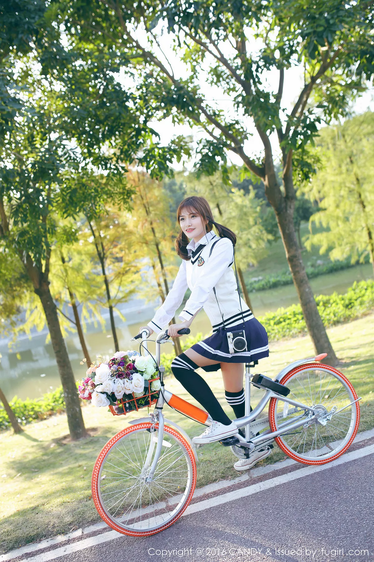 冬至佳节写真