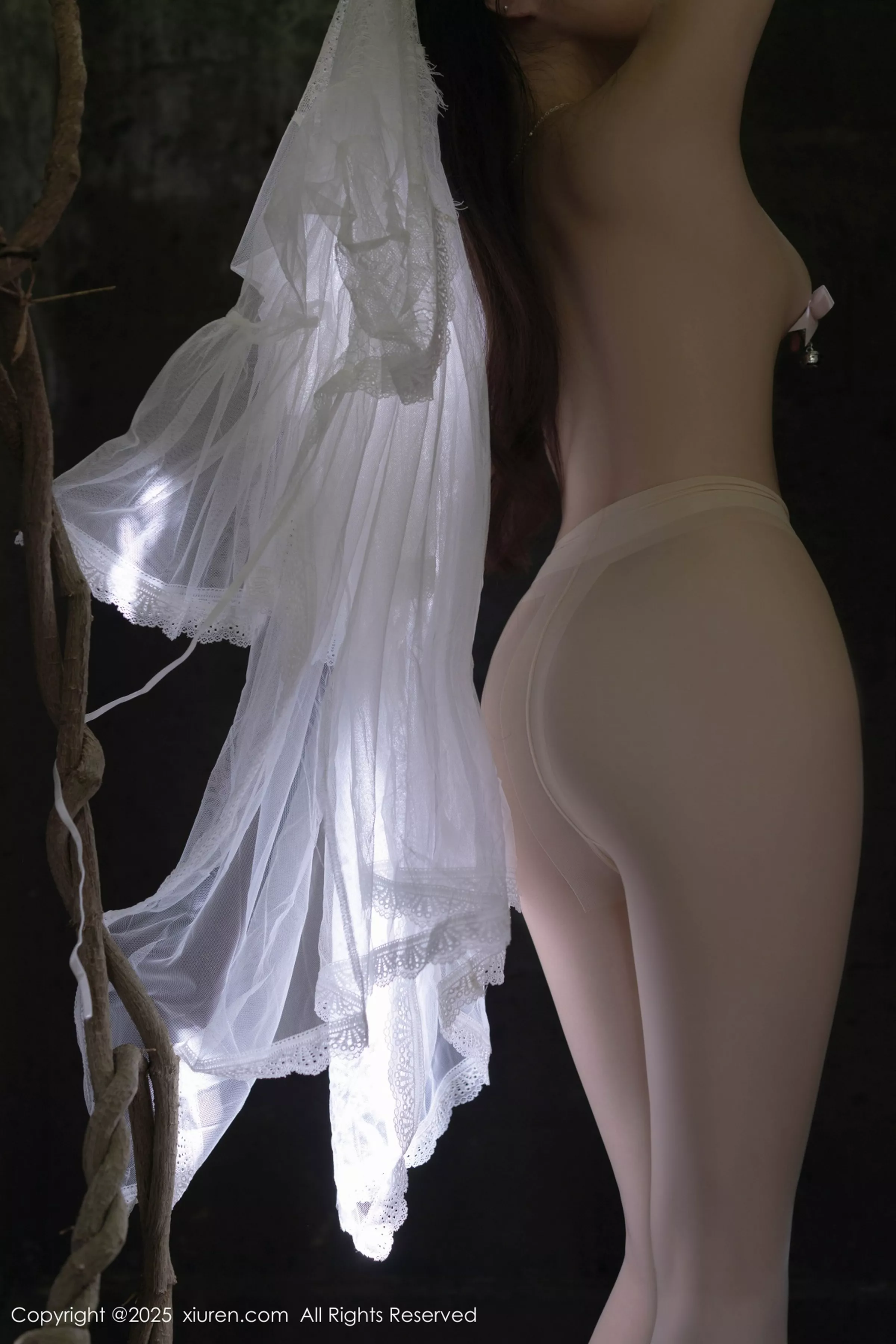 鱼子酱写真
