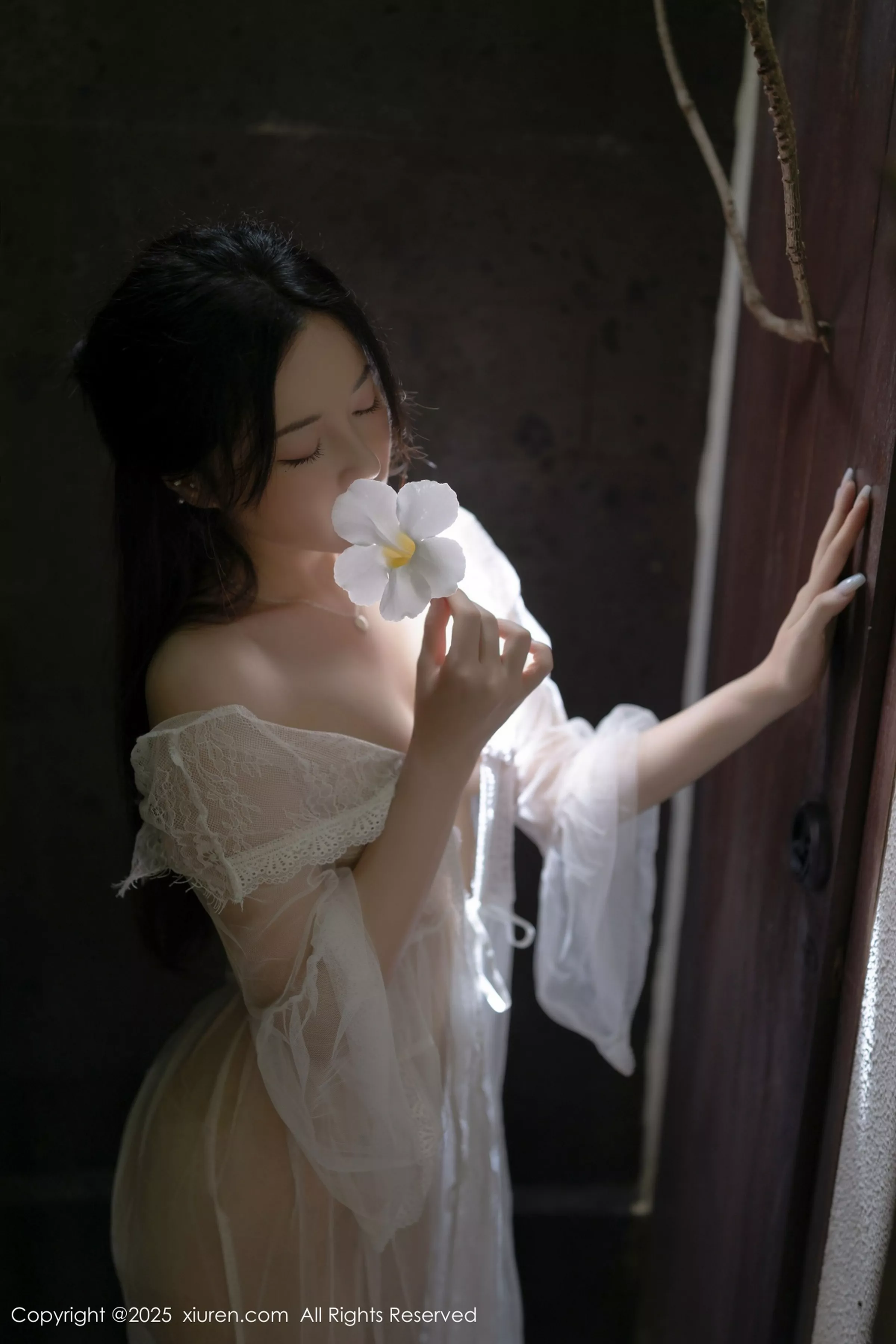 鱼子酱写真