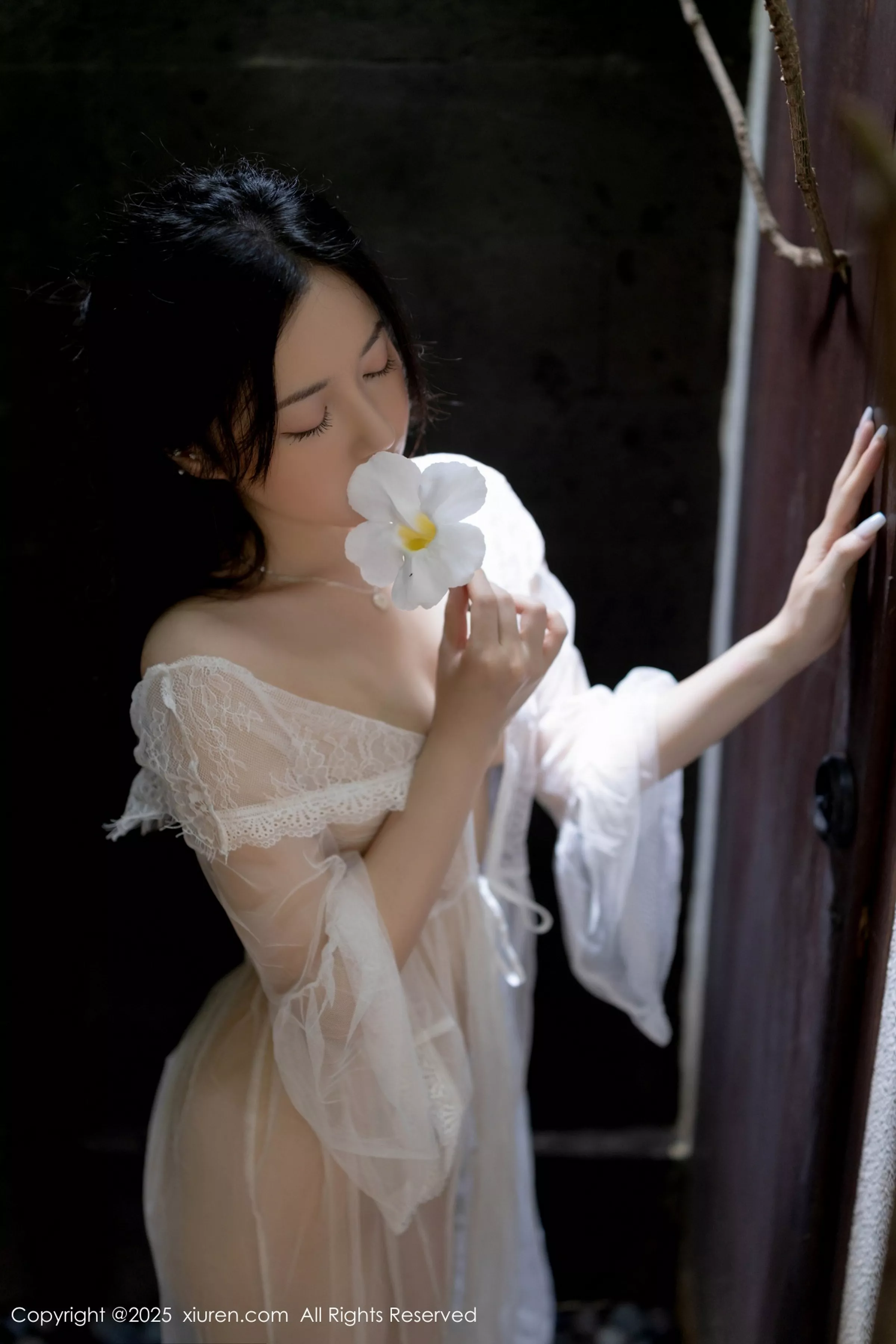 鱼子酱写真