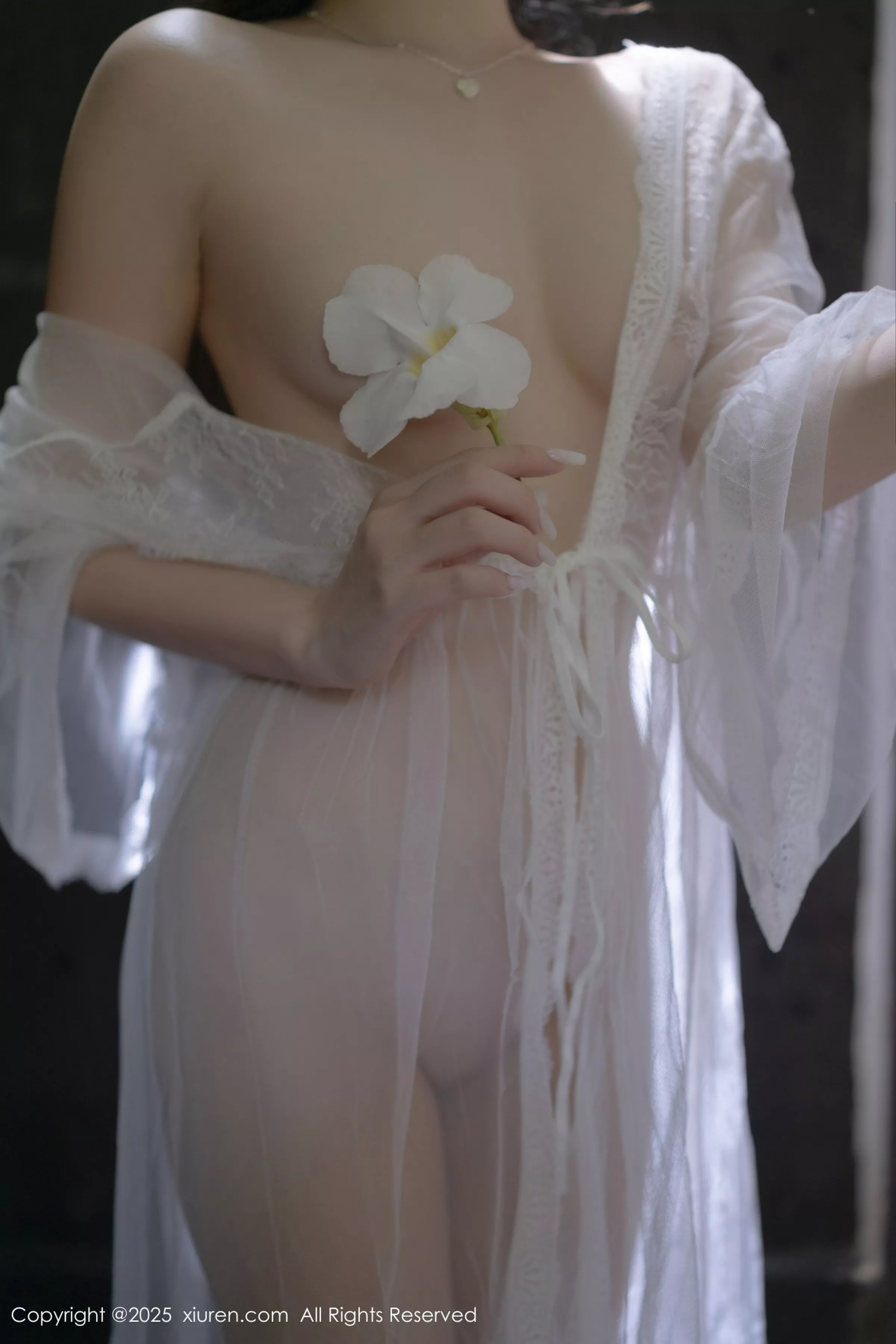鱼子酱写真
