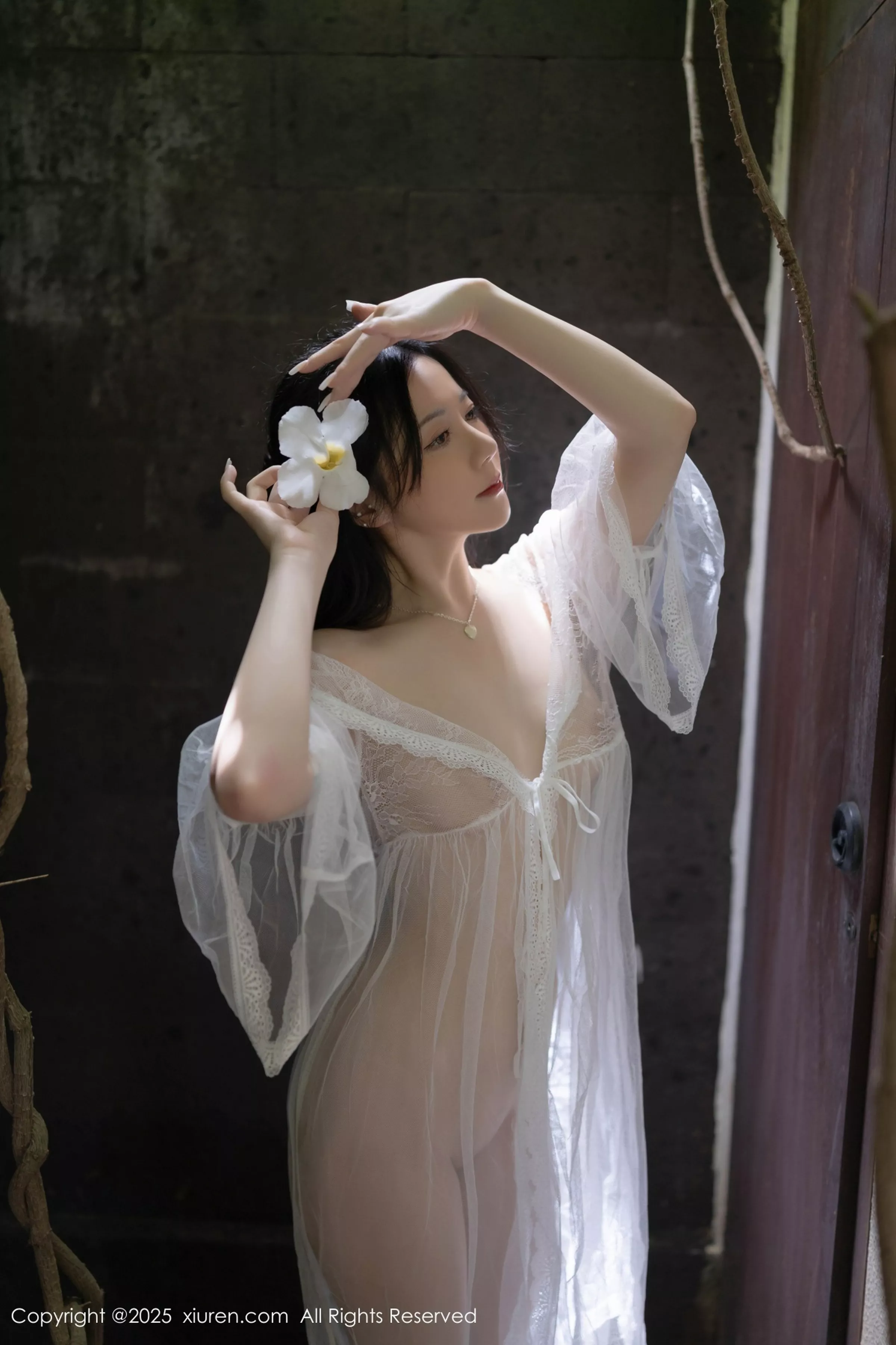 鱼子酱写真