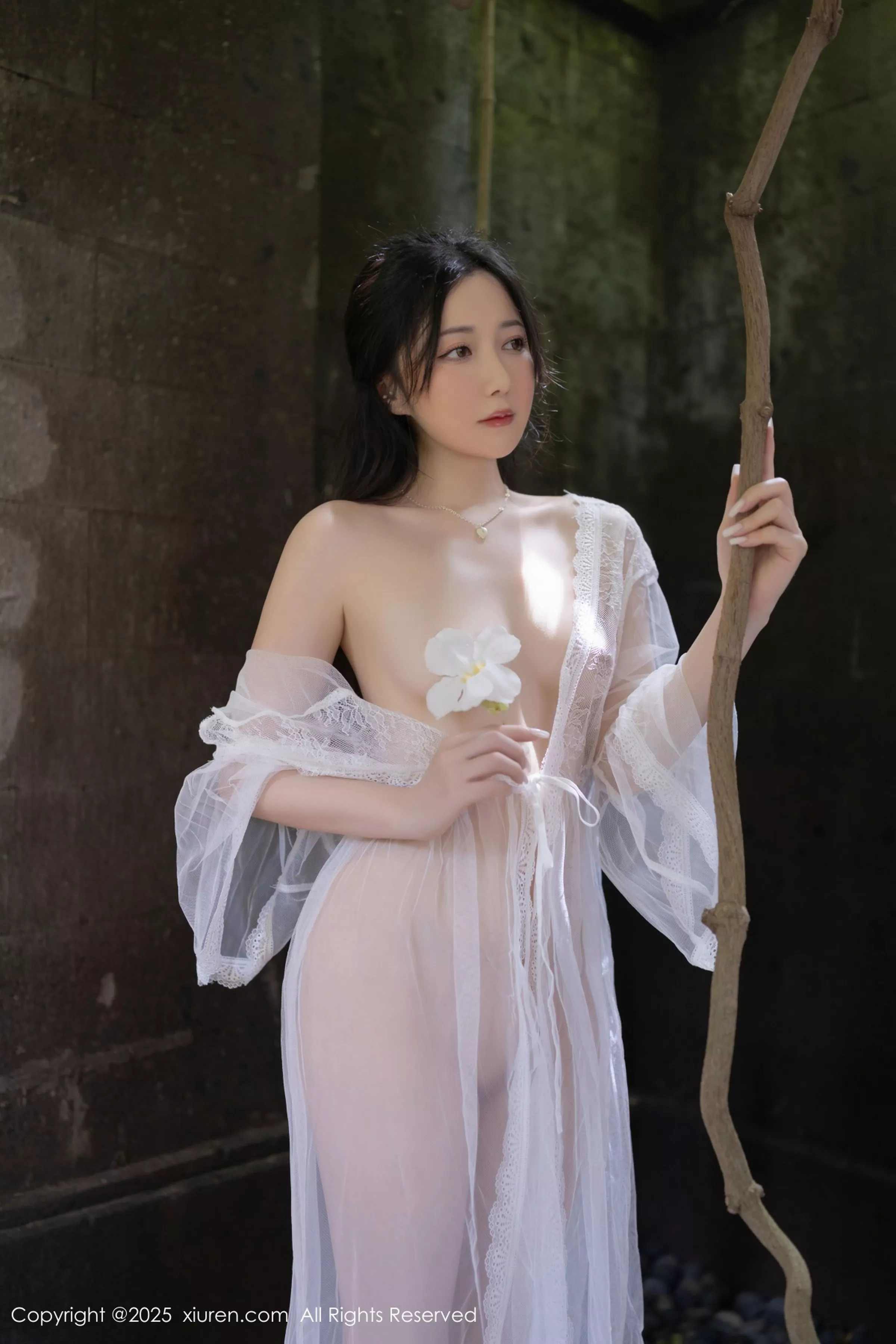鱼子酱写真