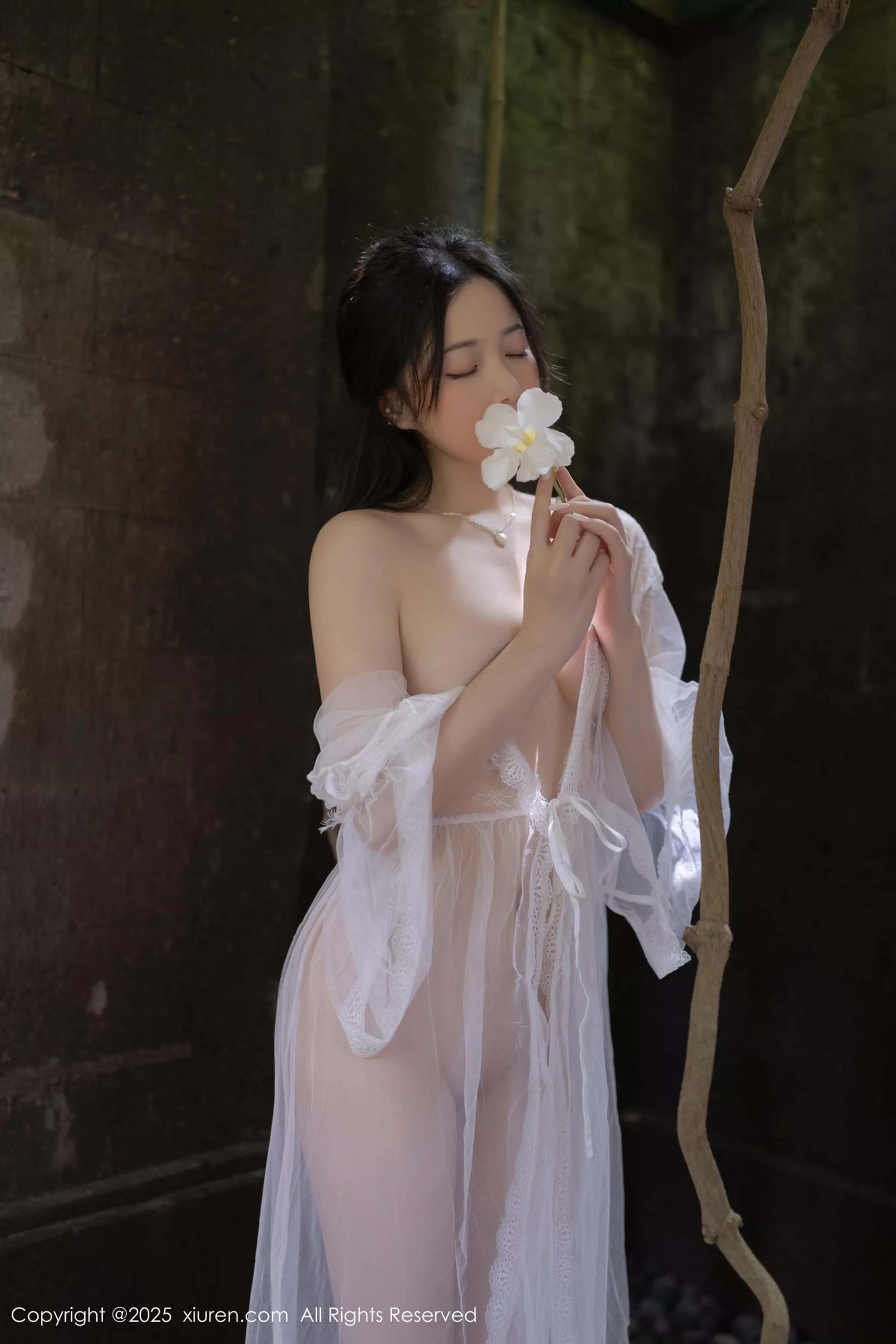 鱼子酱写真