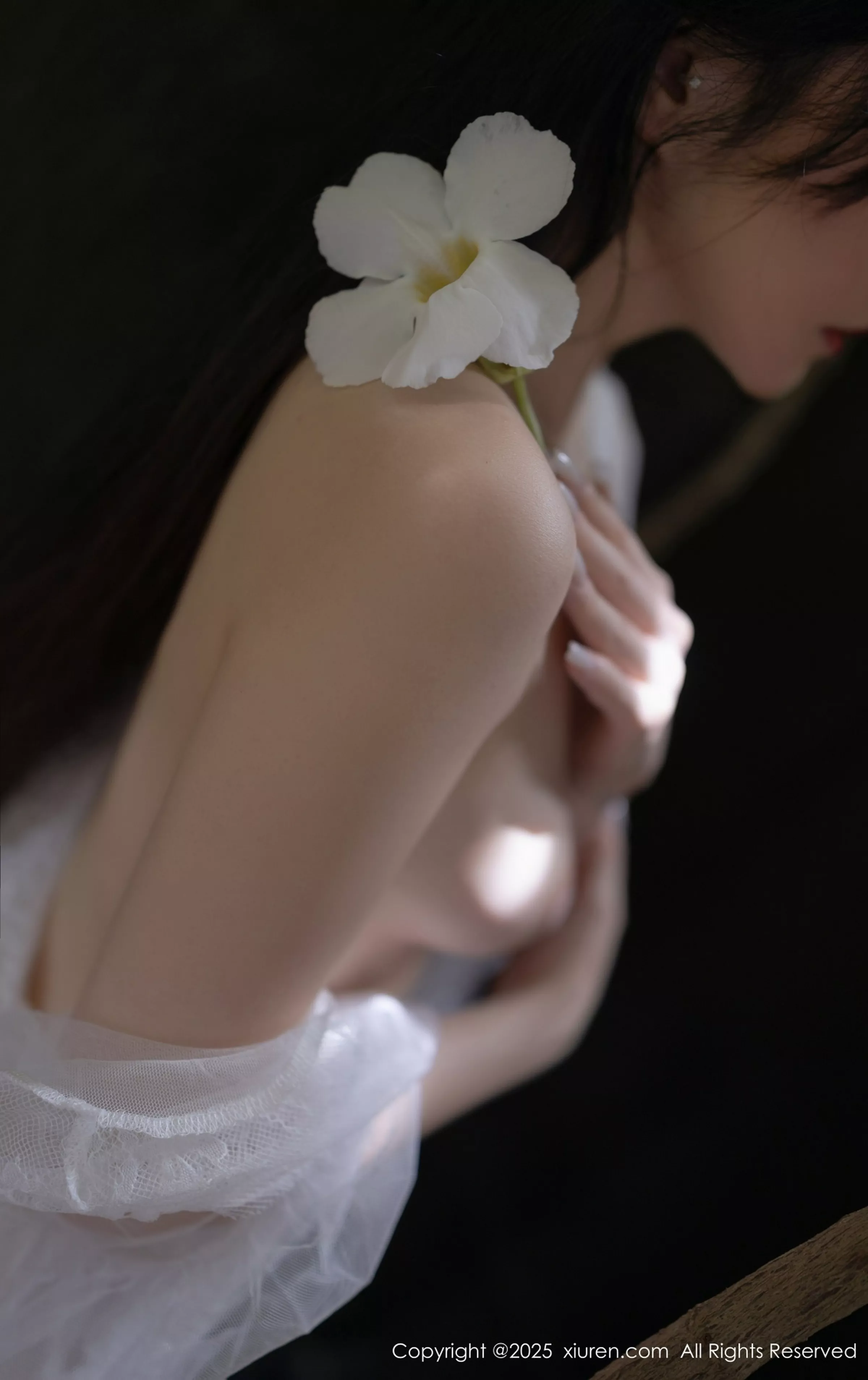 鱼子酱写真