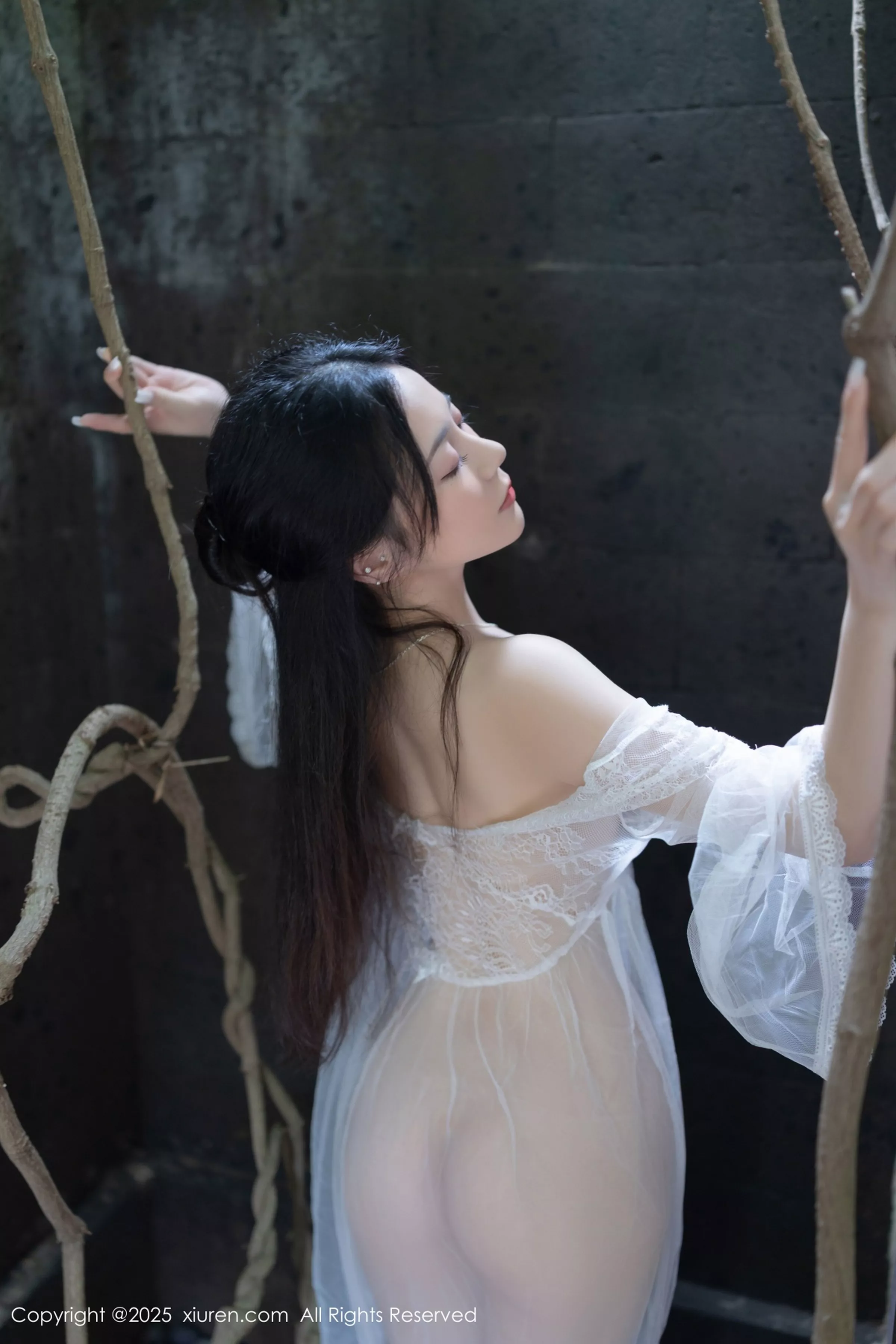 鱼子酱写真