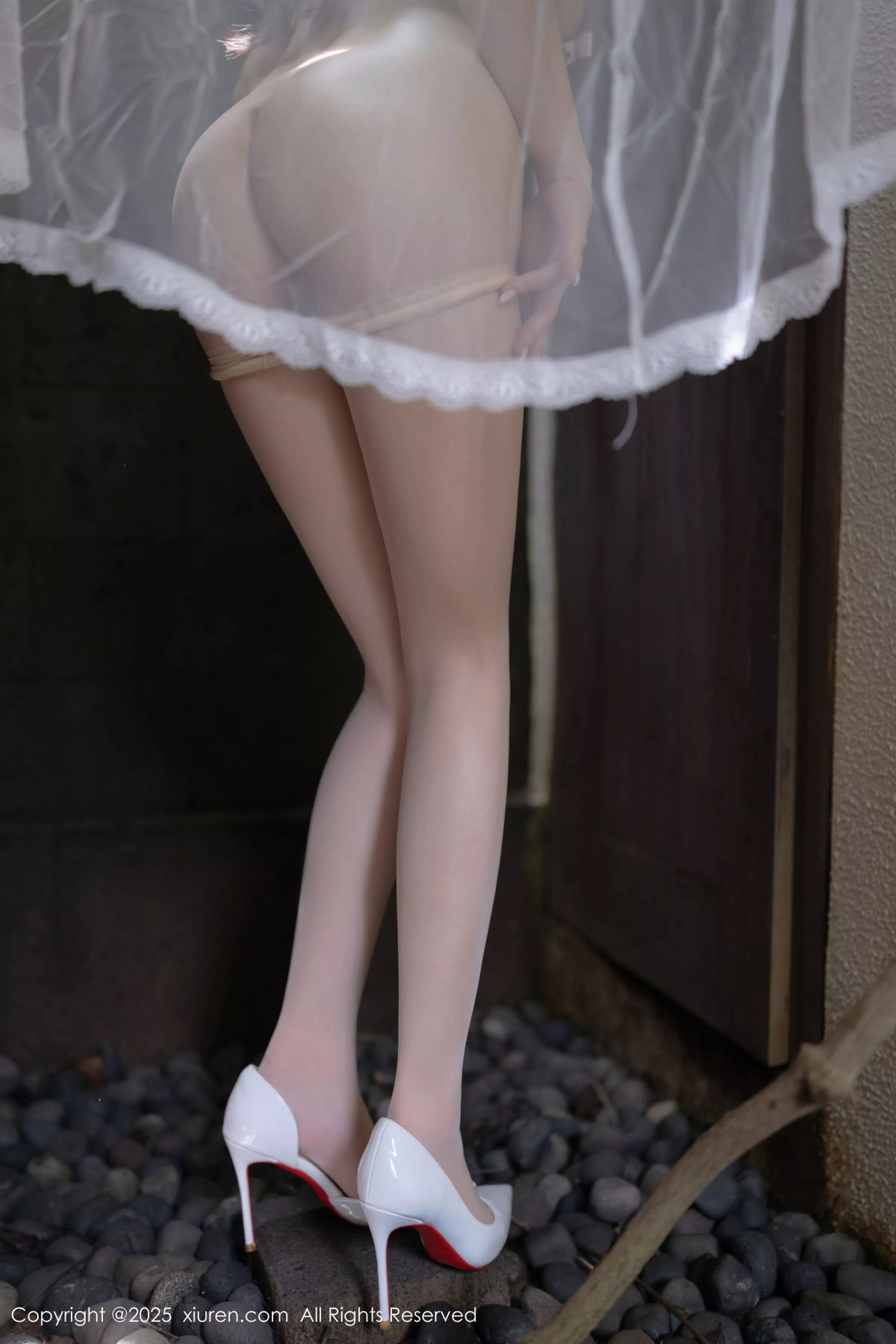 鱼子酱写真