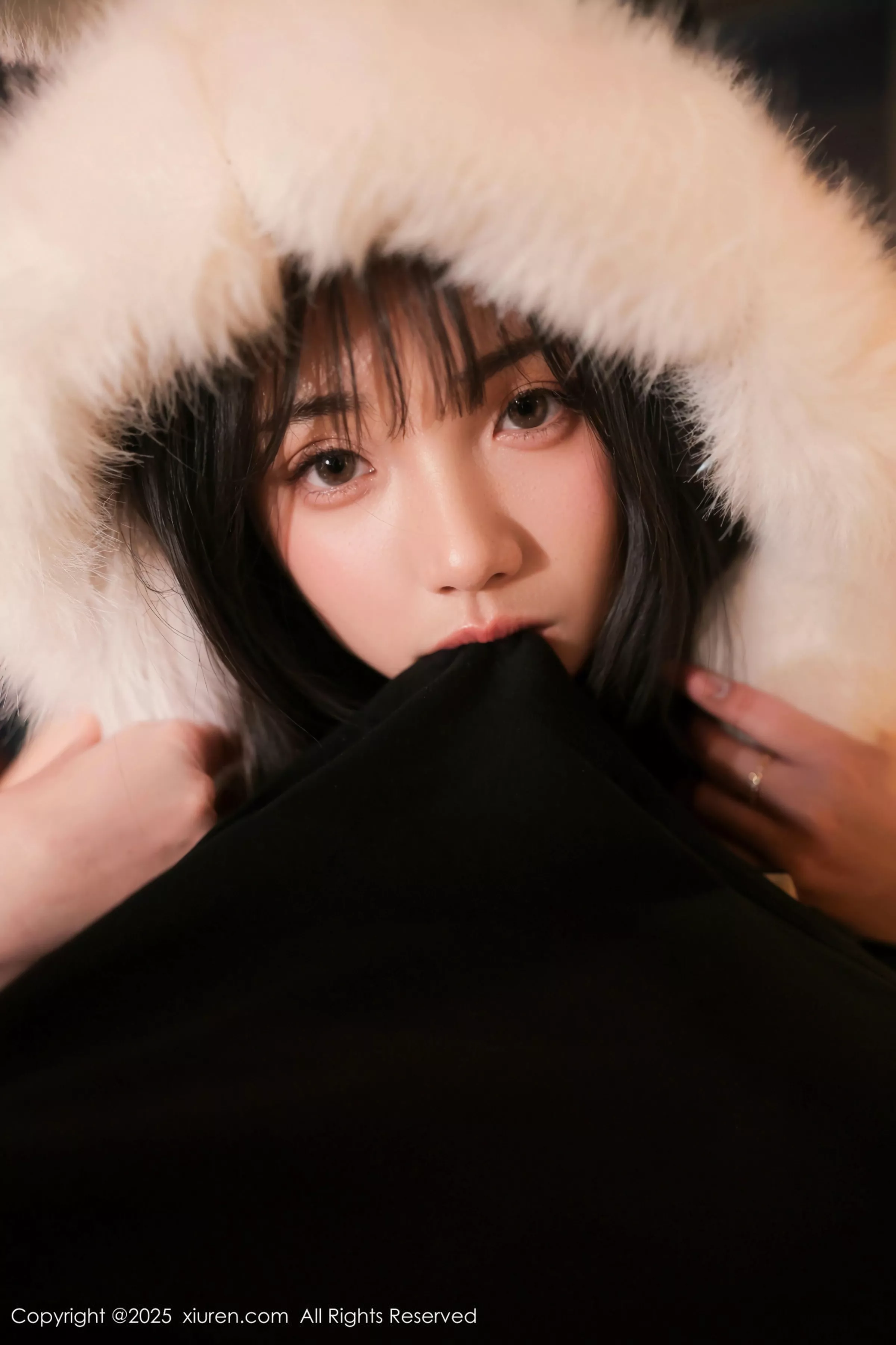 软情写真